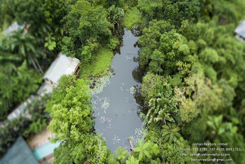 resort-pond