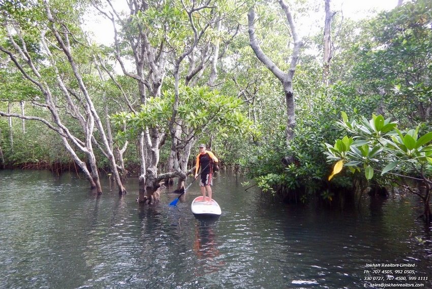 Newpaddleboards