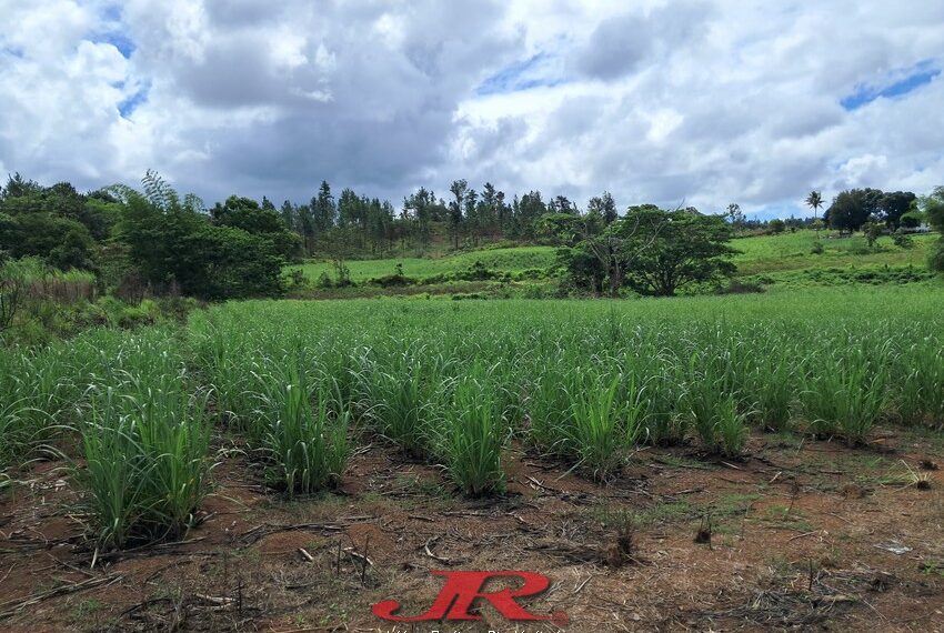 Vatulaulau Agriculture land Sheikh (10)