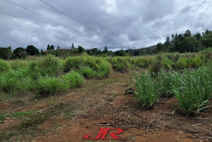 Vatulaulau Agriculture land Sheikh (12)