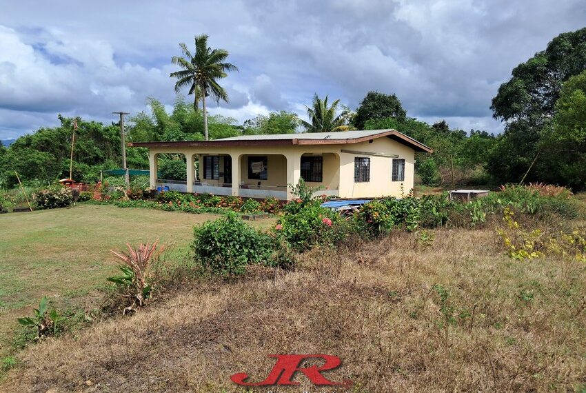 Vatulaulau Agriculture land Sheikh (15)