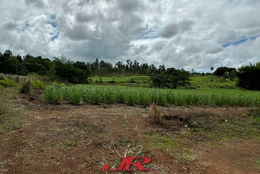 Vatulaulau Agriculture land Sheikh (26)