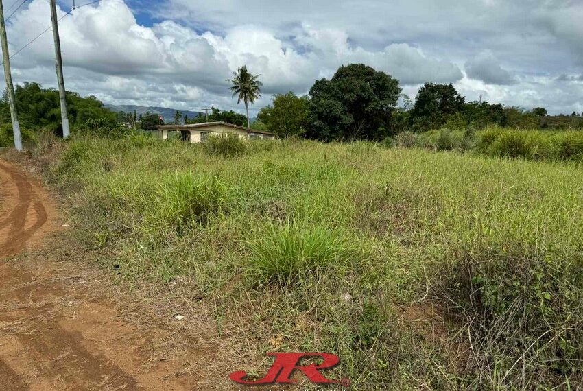 Vatulaulau Agriculture land Sheikh (29)