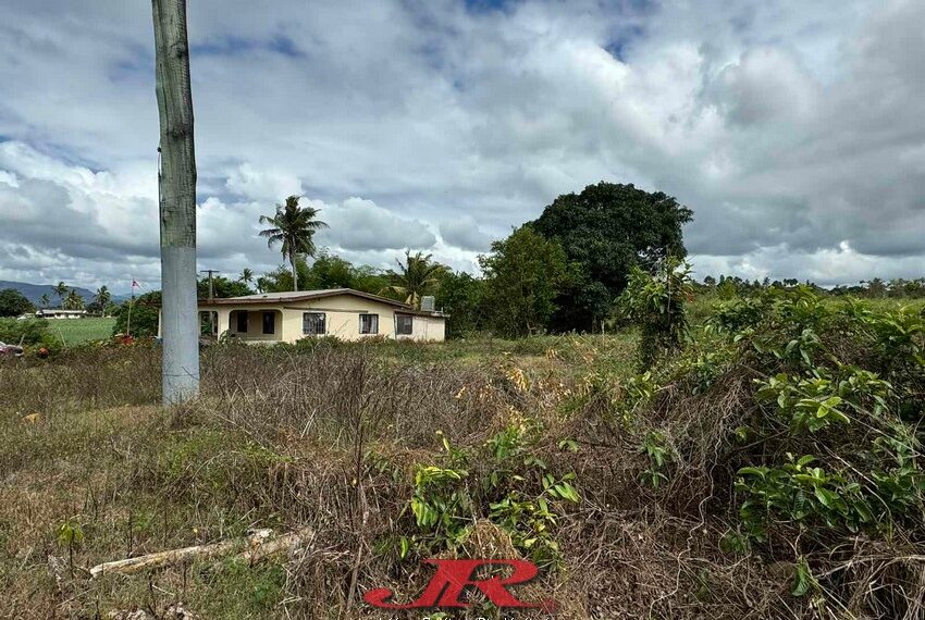 Vatulaulau Agriculture land Sheikh (31)