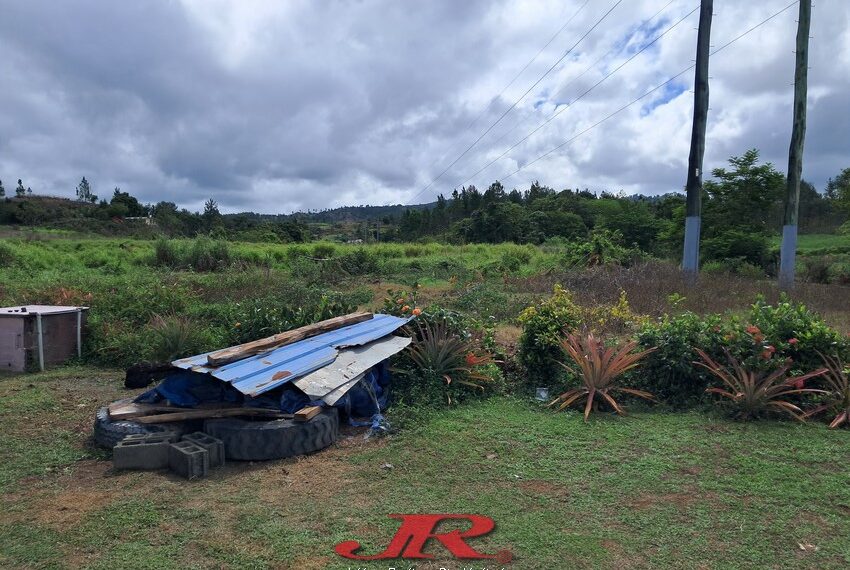 Vatulaulau Agriculture land Sheikh (5)