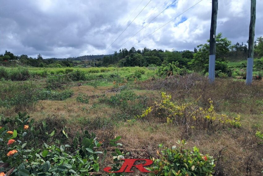 Vatulaulau Agriculture land Sheikh (6)