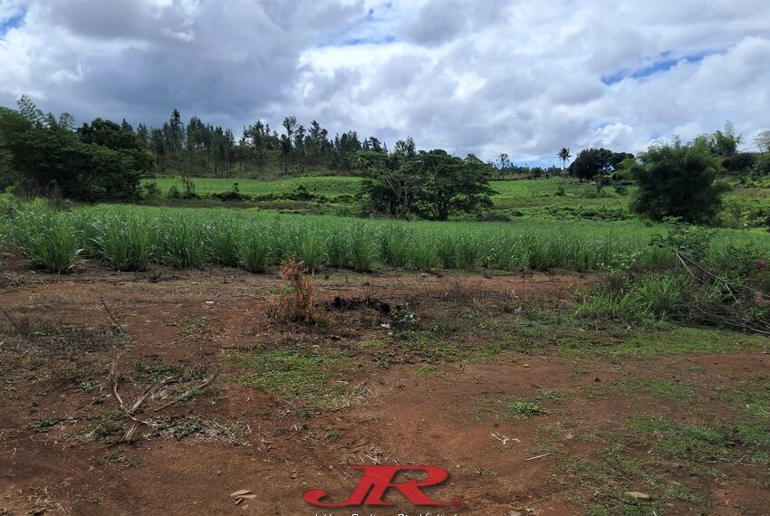 Vatulaulau Agriculture land Sheikh (9)